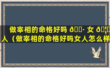 做宰相的命格好吗 🌷 女 🦊 人（做宰相的命格好吗女人怎么样）